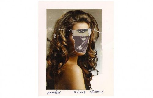 collage di Luc Fierens.JPG